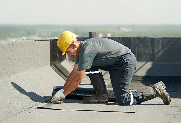 Best Cellulose Insulation in East Helena, MT